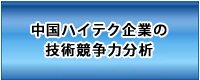 LCDパネル・メーカーの事業戦略研究2008